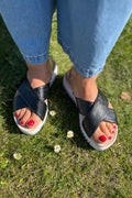 Tulip1465Re | Black
