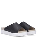 Tulip1360 | Black